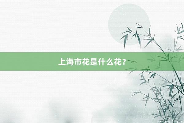 上海市花是什么花？