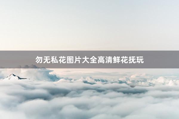 勿无私花图片大全高清鲜花抚玩
