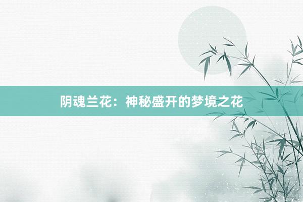 阴魂兰花：神秘盛开的梦境之花