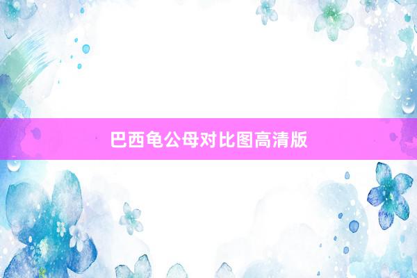 巴西龟公母对比图高清版