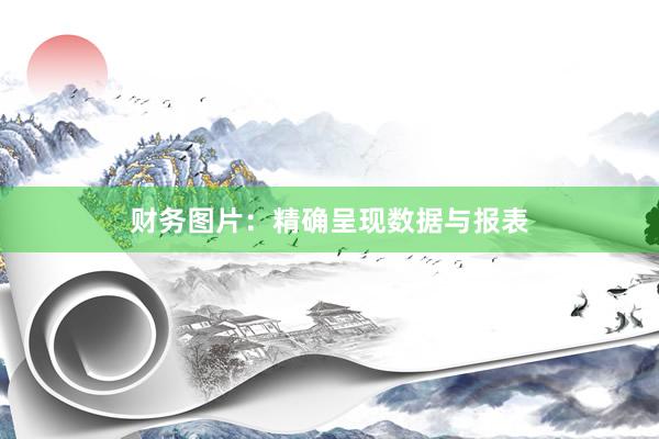 财务图片：精确呈现数据与报表