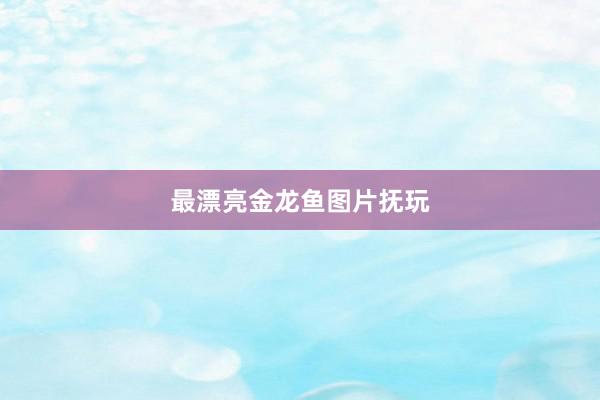 最漂亮金龙鱼图片抚玩